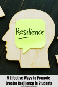 5 Effective Ways to Promote Greater Resilience in Students