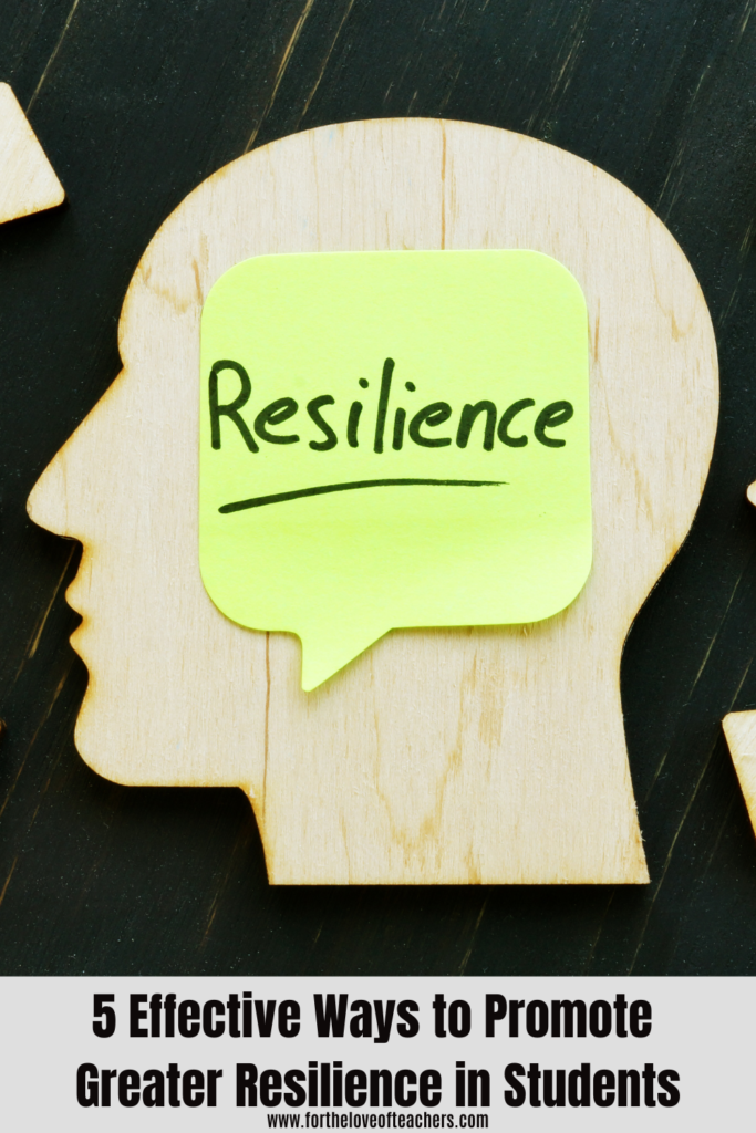 5 Effective Ways to Promote Greater Resilience in Students - For The ...