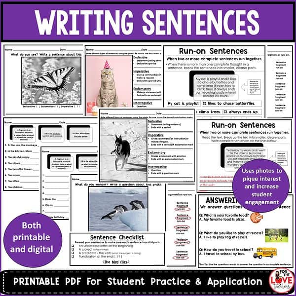 Writing Sentences and Paragraphs